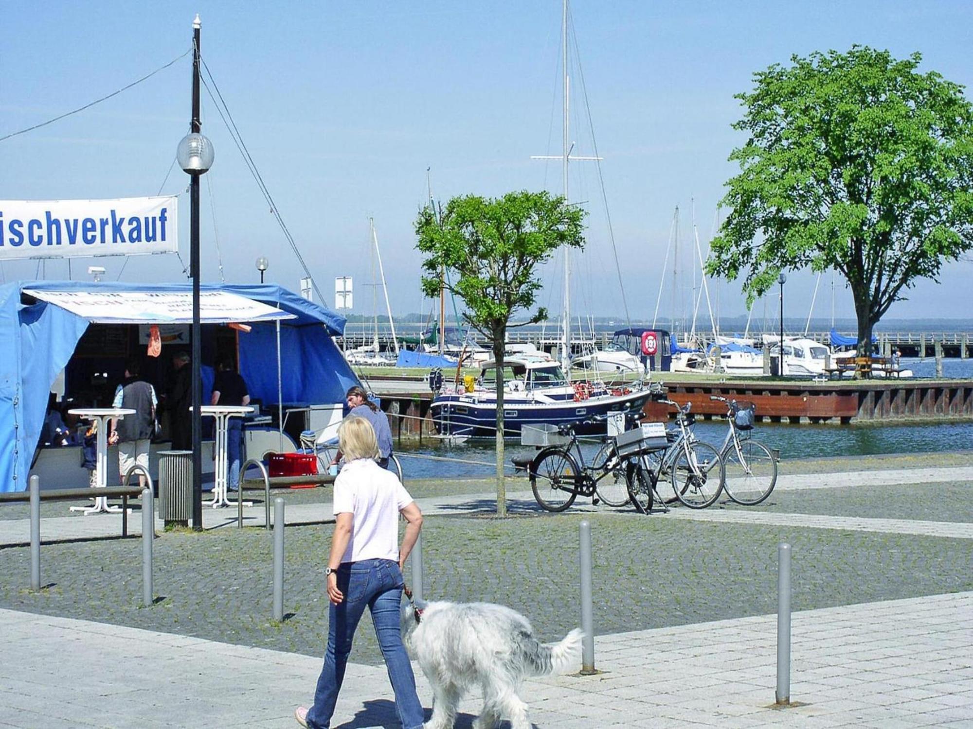 Ferienwohnung In Ribnitz-Damgarten Kültér fotó